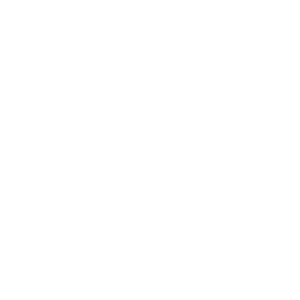 Projetos especiais, Franquias, Redes